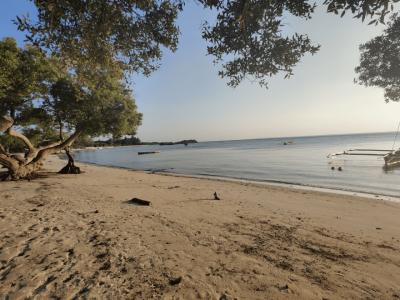 Funzi Kinazini Day Safari