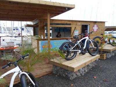 Watt Up - Caribbean e-Mobility