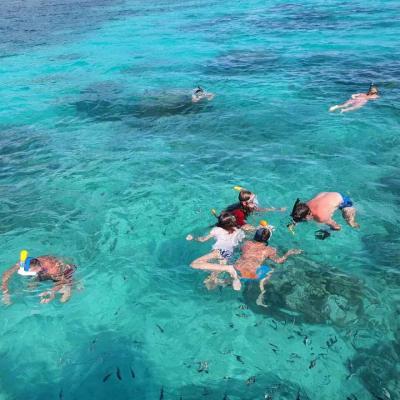 Orcaglassbottom boat