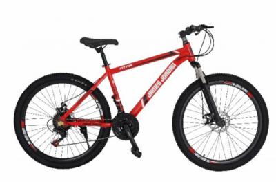 Dada’s Bike Rental